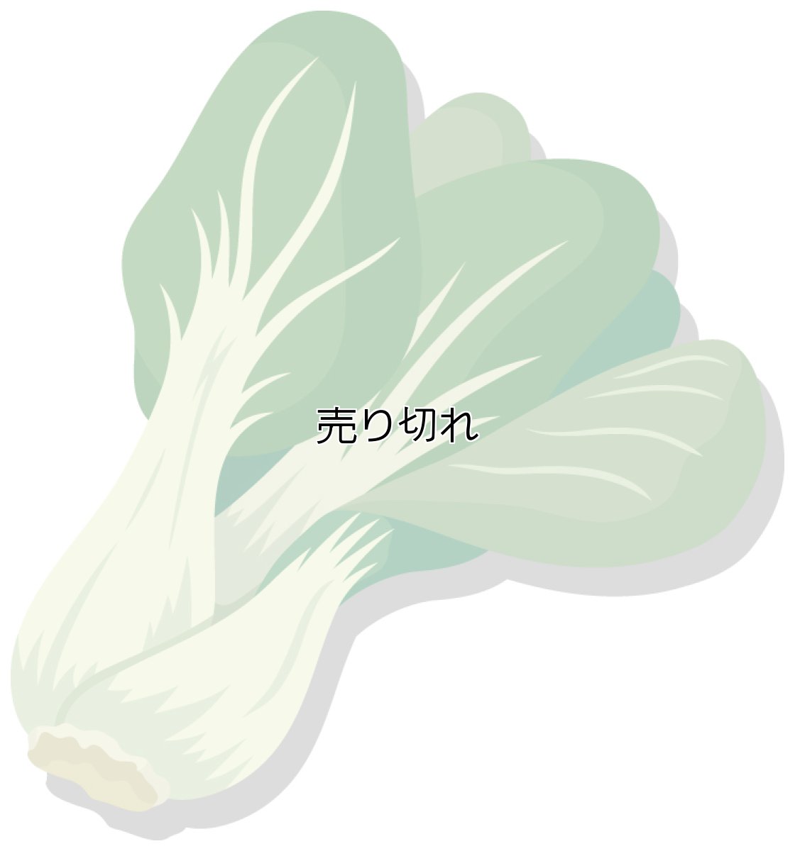 画像1: 定期購入品02 (通常+定期) (通常在庫切れ) (バリエーションあり) (1)