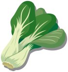 他の写真2: 在庫0でも受け付ける