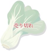 定期購入品02 (通常+定期) (通常在庫切れ) (バリエーションあり)
