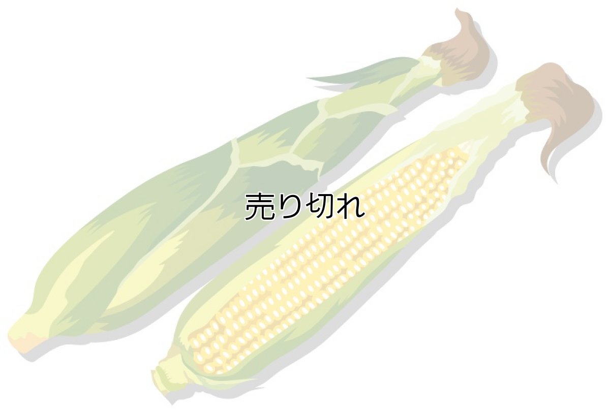 画像1: 通常購入品04 バリエーション在庫1 全てSoldOut 再入荷ボタンあり (セレクトのみ) (通常) (サイクル: FULL) (E2Eテスト用) (1)