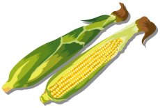 画像1: 通常購入品04 バリエーション在庫1 再入荷ボタンあり (セレクトのみ) (通常) (サイクル: FULL) (E2Eテスト用) (1)