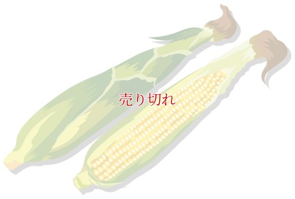 画像1: 通常購入品04 バリエーション在庫1 全てSoldOut 再入荷ボタンあり (セレクトのみ) (通常) (サイクル: FULL) (E2Eテスト用)
