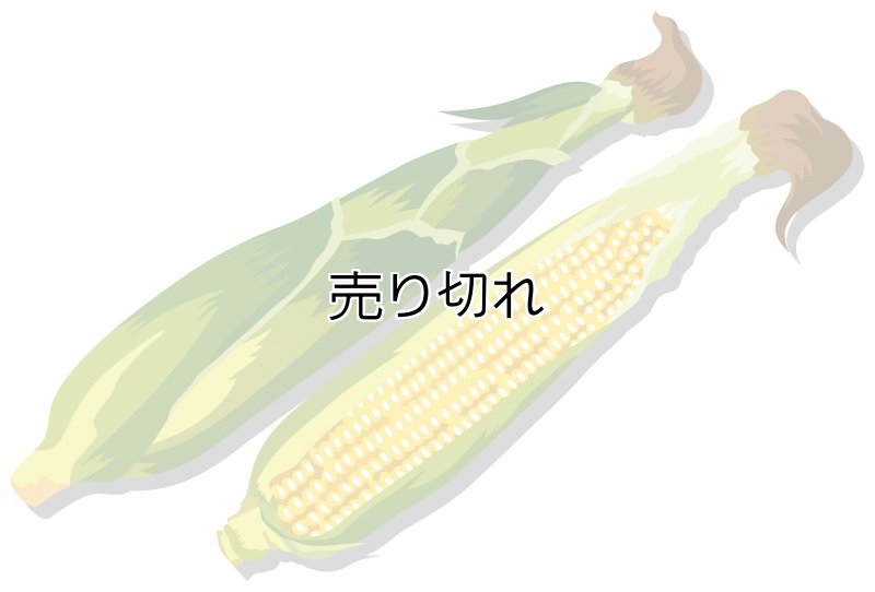画像1: 定期購入品04 バリエーション在庫1 全てSoldOut 再入荷ボタンなし (セレクト+ラジオ) (通常+定期) (サイクル: FULL) (E2Eテスト用) (1)