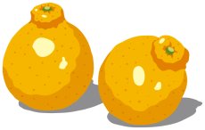 画像11: 和風なライト (11)