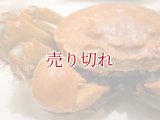 バリエーション在庫の全てが在庫切れ  (2025/09/11更新)