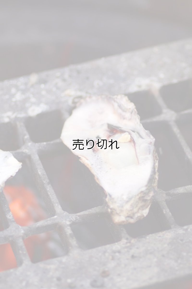 画像7: バリデーション有りで在庫0でも受付: 全バリデーション在庫0 (7)