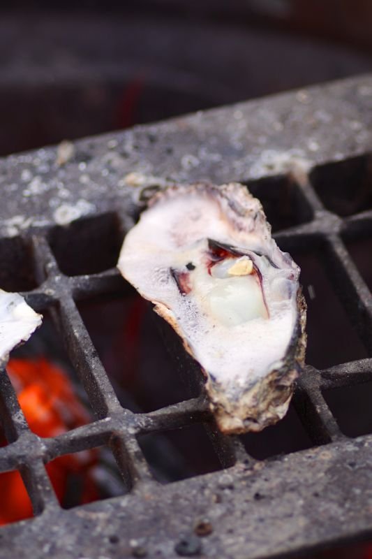 画像7: バリエーション選択肢が1つだけ - 見事な根本原理/Inspired Ultimatum《日本語》【IKO】 (7)