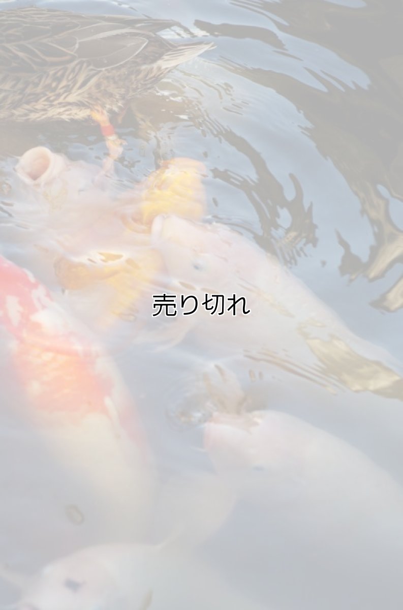 画像9: バリデーション有りで在庫0でも受付: 全バリデーション在庫0 (9)