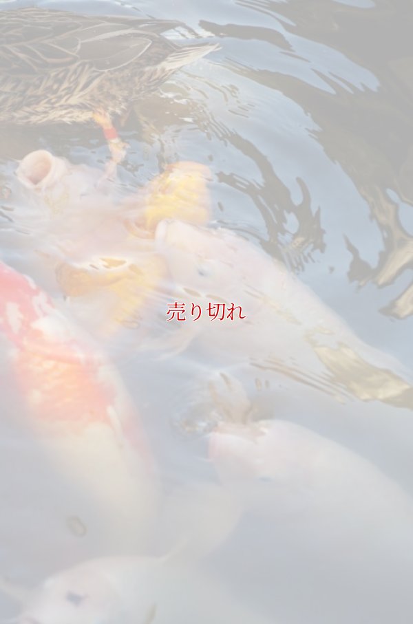 画像9: バリデーション有りで在庫0でも受付: 全バリデーション在庫0