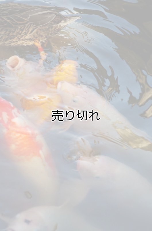 画像9: バリデーション有りで在庫0でも受付: 全バリデーション在庫0 (9)