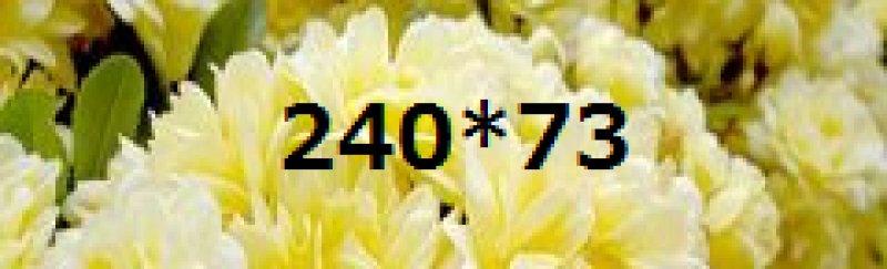 画像3: 20160301-1 スマホ版説明が空 v2 (3)