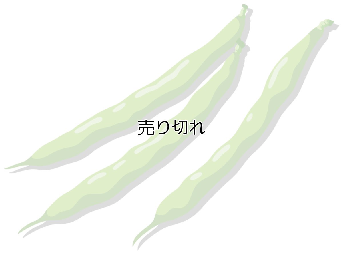 画像1: 定期購入品05 (通常購入+定期購入) (通常在庫切れ) (バリエーションなし) (2回目の価格指定なし) (一度に購入できる商品点数: 上限3) (重量設定あり) (軽減税率) (1)