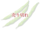 定期購入品02 (通常+定期) (バリエーションあり＆価格は商品単位で管理) (通常は在庫切れ)