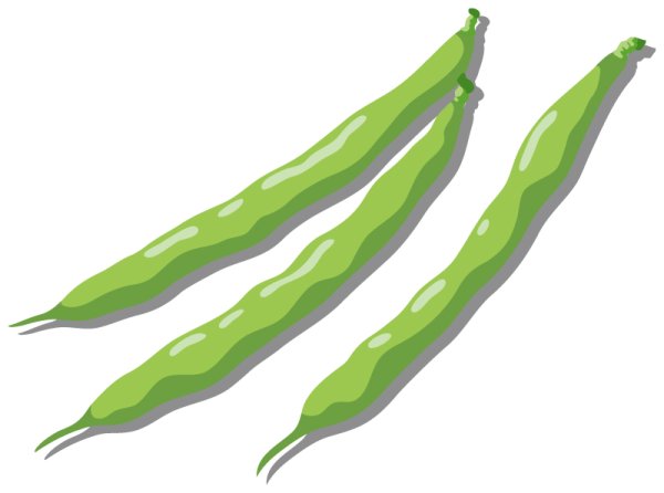 画像2: 定期購入品01 (バリエーションあり) (定期購入のみ) (2)