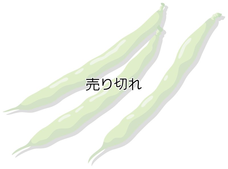 画像1: 定期購入品02 (通常+定期) (バリエーションあり＆価格は商品単位で管理) (通常は在庫切れ) (1)