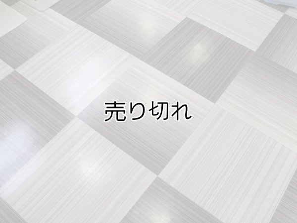 画像1: タイル４５423567 (1)