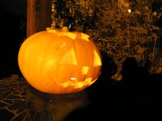 画像1: ハロウィンライト (1)