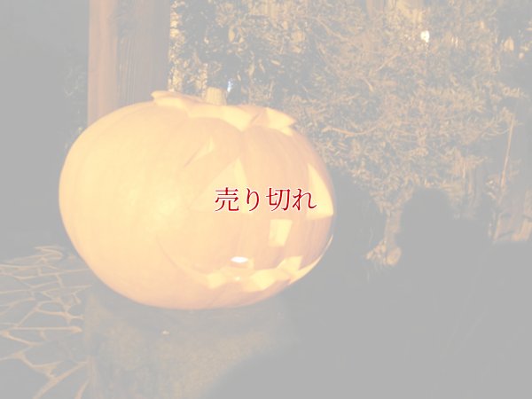 画像3: ガラス ライト4