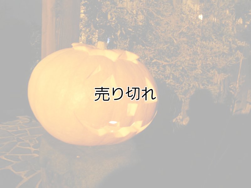 画像3: ガラス ライト4 (3)