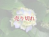 バリデーション有りで在庫0でも受付: 全バリデーション在庫0