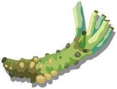 画像12: 和風なライト (12)