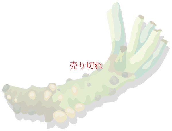 画像1: 定期購入品05 (在庫切れ) (バリエーションなし) (通常購入+定期購入)