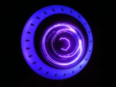 パープルライト