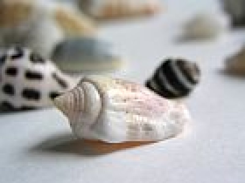 Photo3: 写真たて－3