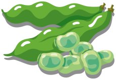 枝豆