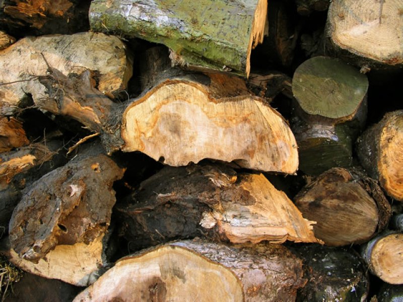 Photo2: タイル ４４