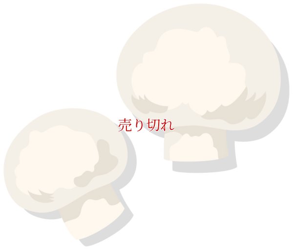 画像2: テント商品単位で制限 (H-26-04-16-1039-ML-BG-KB-ZH)