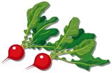 Christmas Sale!