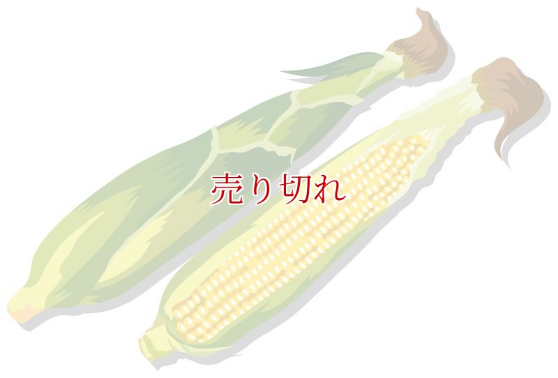 画像2: 定期購入品05 (在庫切れ) (バリエーションなし) (通常購入+定期購入) (2)