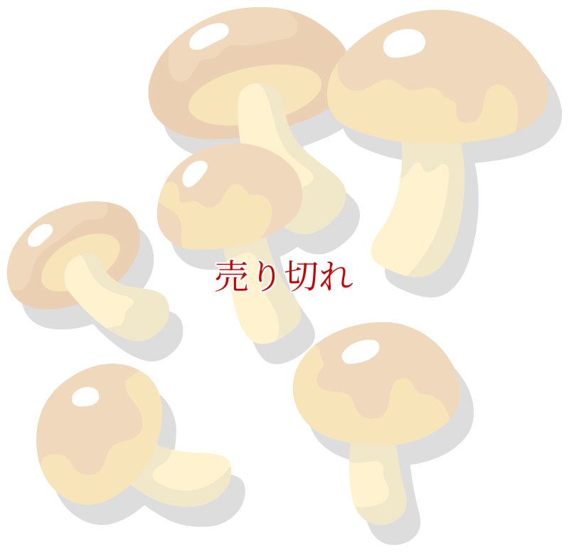 画像8: ライスバーガー (8)