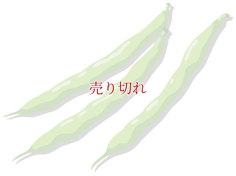 画像3: 定期購入品05 (在庫切れ) (バリエーションなし) (通常購入+定期購入) (3)