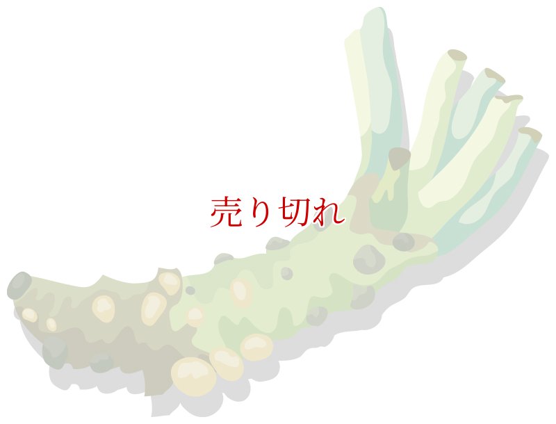 画像1: 定期購入品05 (在庫切れ) (バリエーションなし) (通常購入+定期購入) (1)
